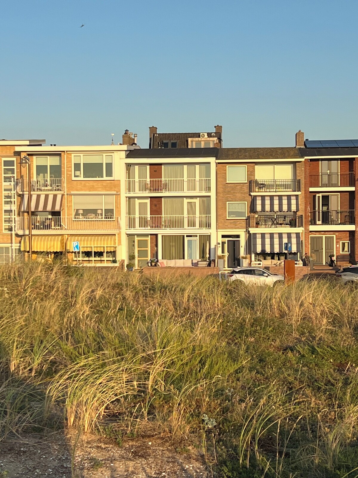 Image de profil de l’hôte