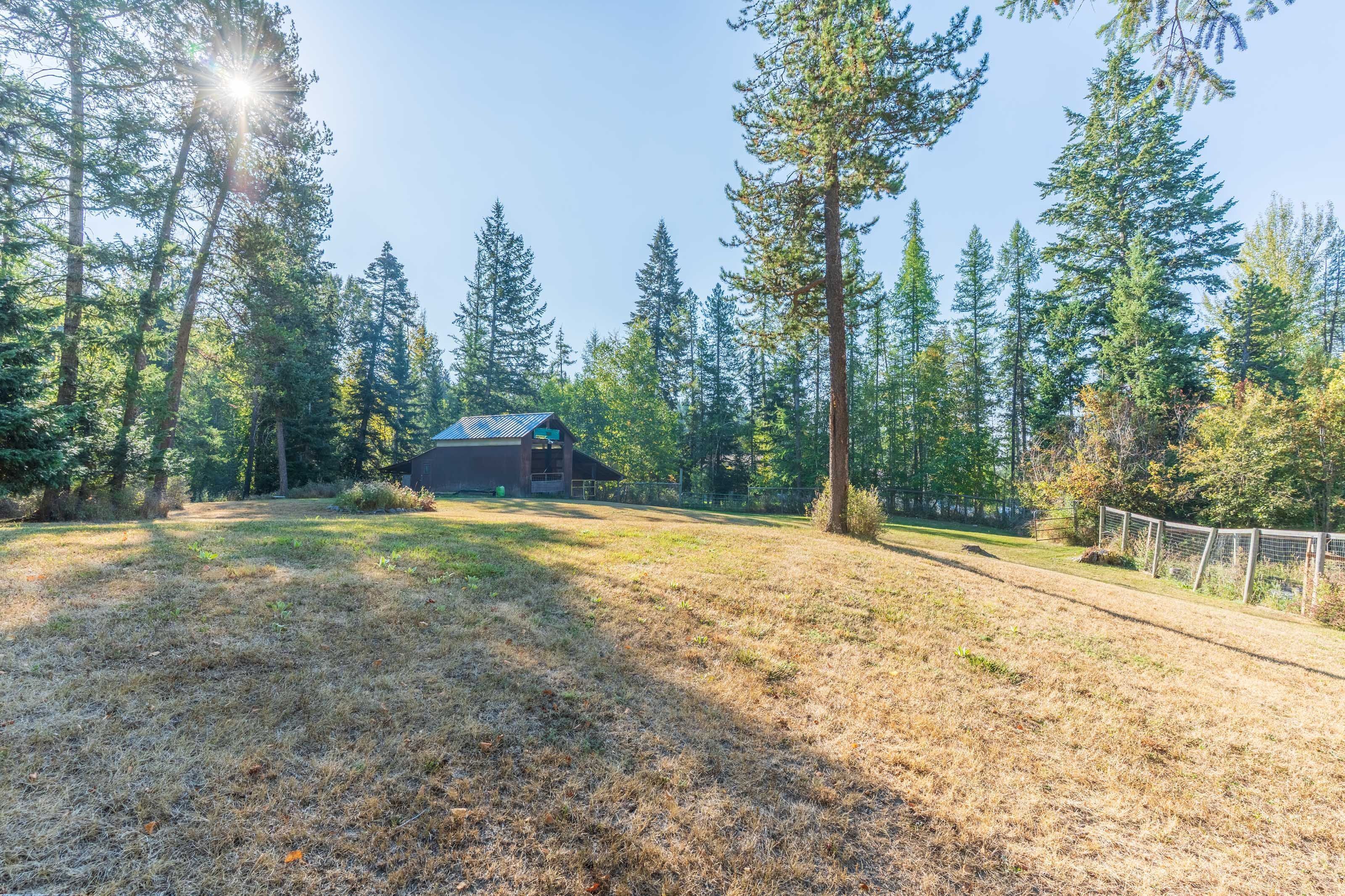 A rustic cabin surrounded by tall pine trees, a clear sky, and a dry grassy area.