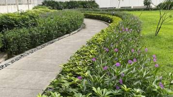 A pathway lined with green plants and purple flowers, leading to a building with a modern design.