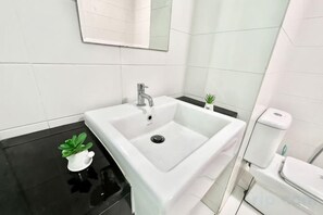 A bathroom with a white sink, a mirror, and a small potted plant.