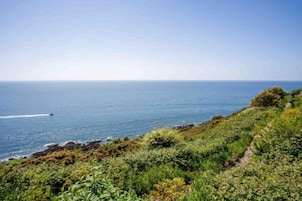 Un paisaje costero con vista despejada al océano y un camino que baja hacia la playa.
