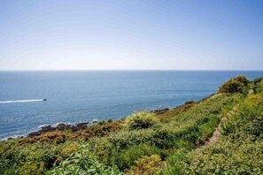 Miscellaneous - Cosy Cottage - 2 Bedroom Cottage - Mumbles (Mumbles)