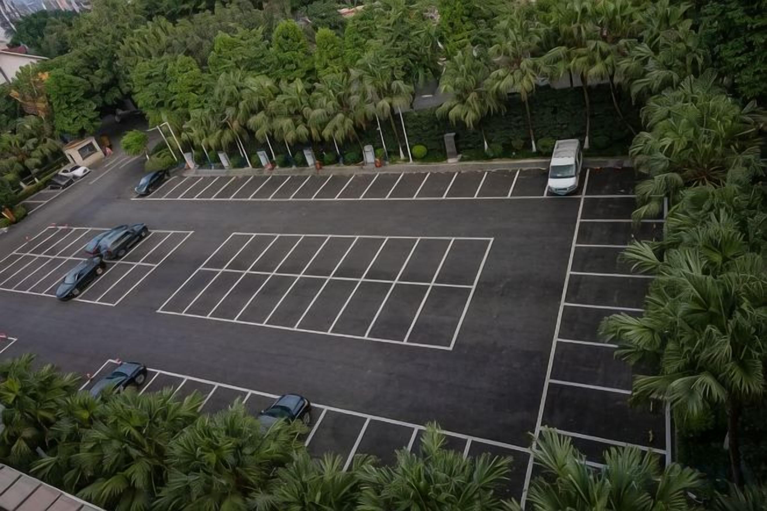 A parking lot with multiple rows of parking spaces surrounded by palm trees.