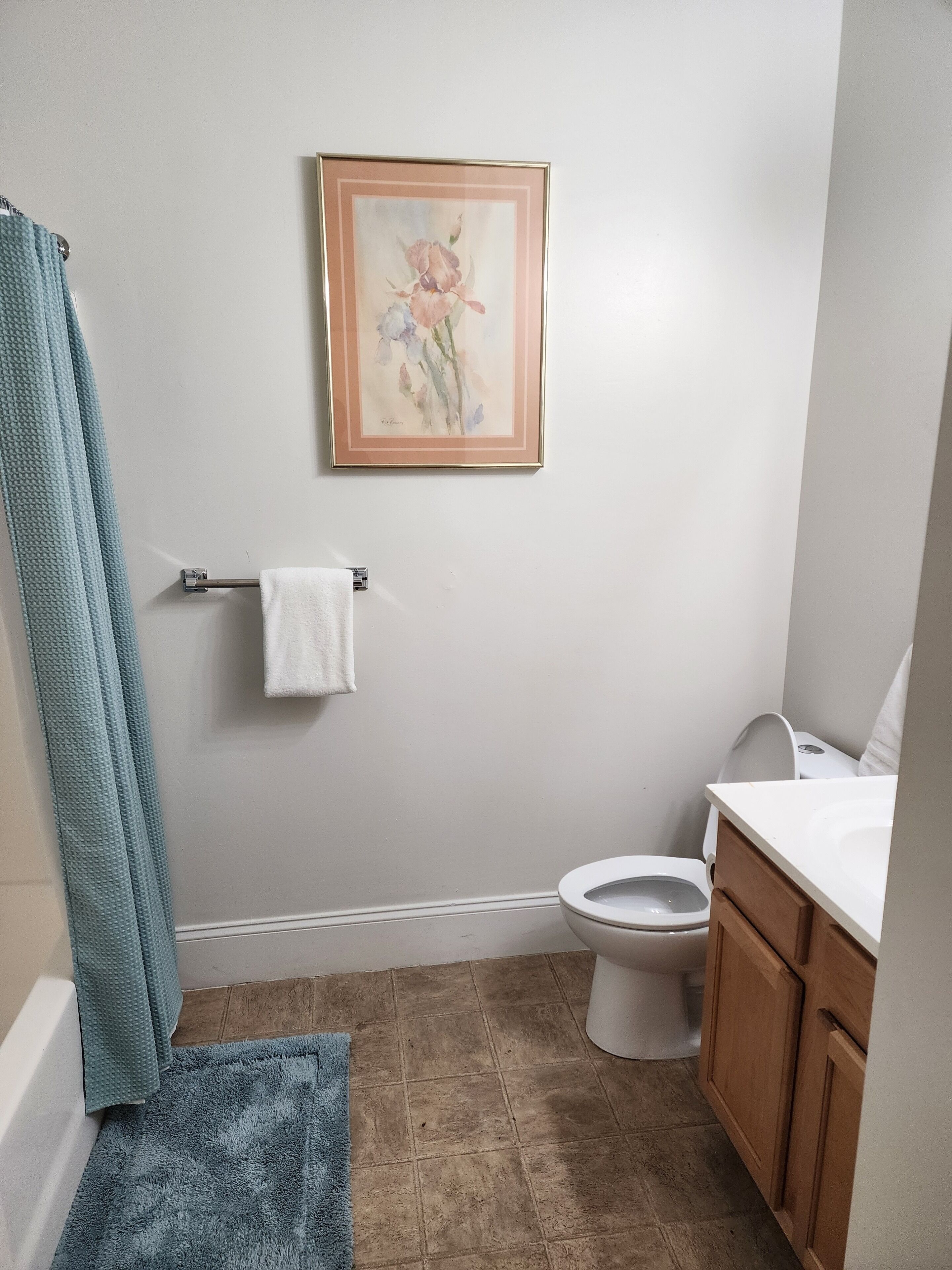 Serviettes fournies, papier toilette