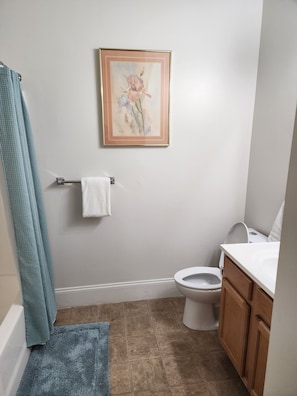 Toallas y papel de baño
