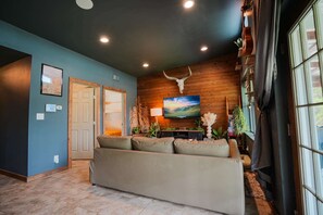 电视、壁炉、办公室