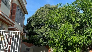 Un pati amb un arbre gran, una entrada tancada amb reixa i un edifici amb façana vermella i blanca.