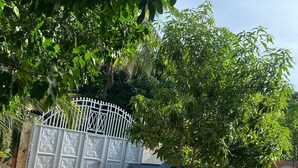 Un carrer d'accés tancat per una reixa, amb un totxo aparcat, envoltat de vegetació exuberant i un petit arbre en una jardineria.