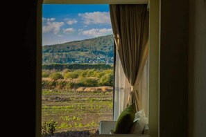 Room - Tengchong Bailuyu Heshunqiu Shui Changtian·hot spring·wetland·inn (Tengchong)