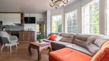 Televisie en een open haard