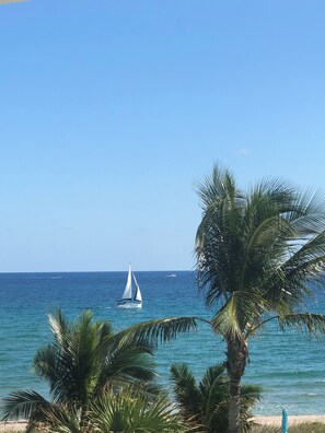 Una playa con un velero en el agua, palmeras y un cielo despejado.