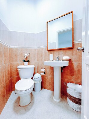 A bathroom with a toilet, sink, and mirror. - Backyard Rooftop Pool View Walk to Beach & Dining (Punta Cana)