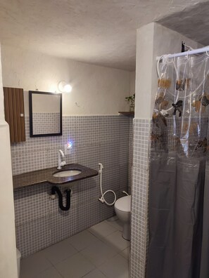 Shower, hair dryer, toilet paper