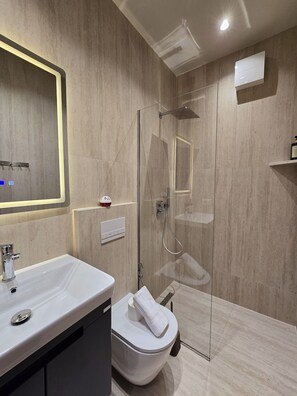 Regadera, secadora de cabello, toallas, jabón 