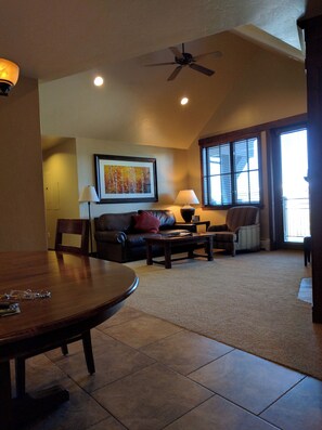 TV connectée, cheminée, lecteur de DVD