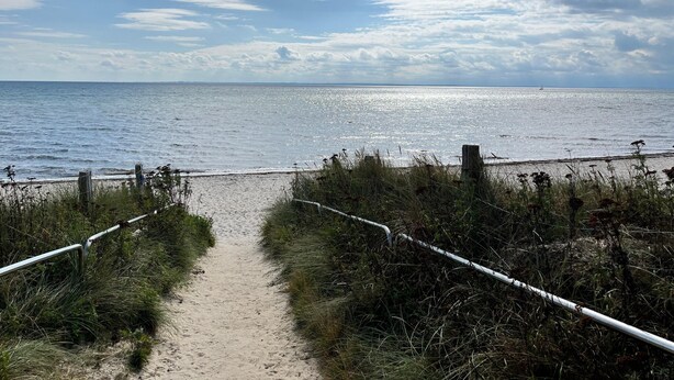 A sandy beach path leading to the sea, bordered by grass and a metal fence.