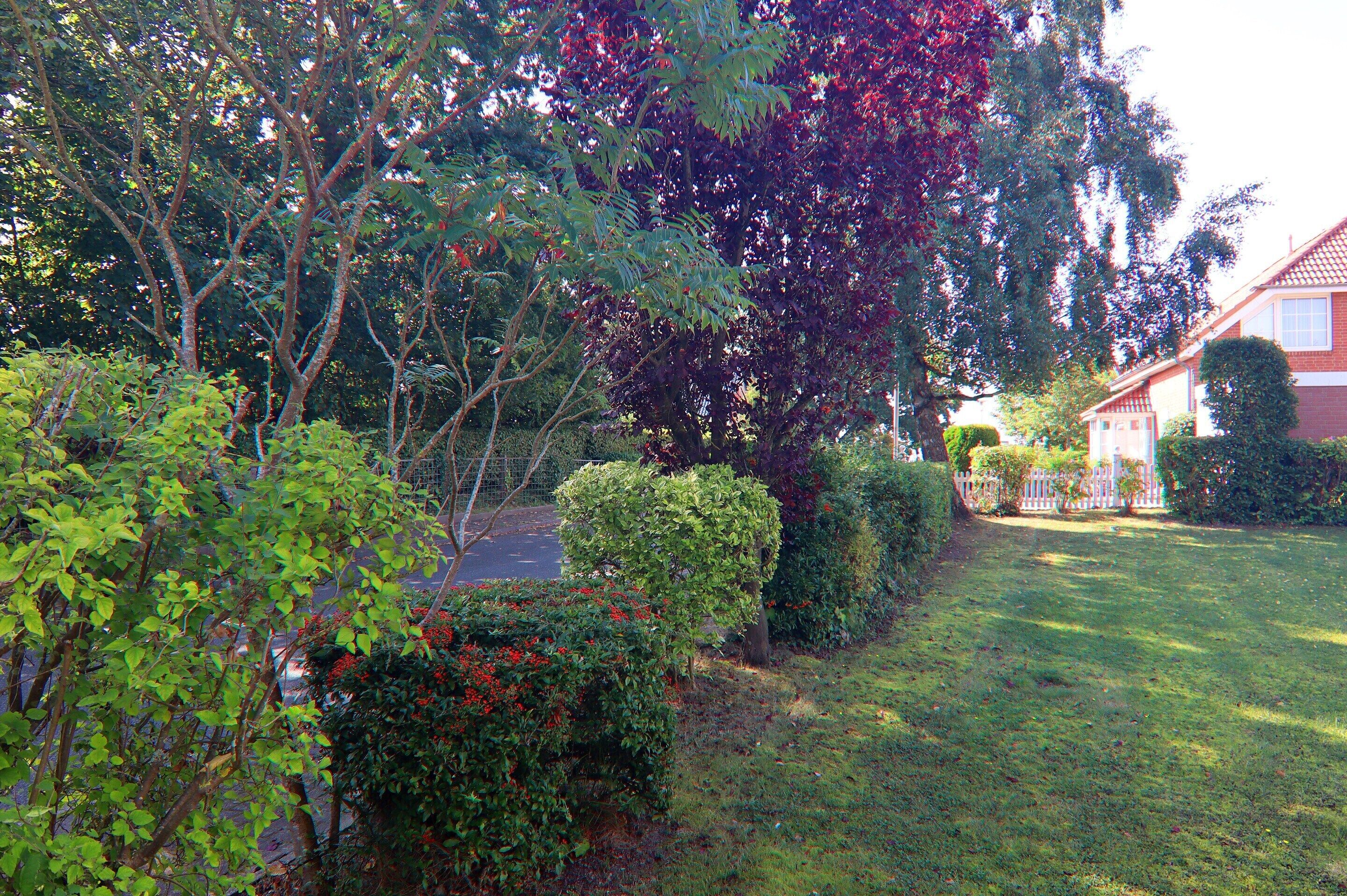 House | Garden