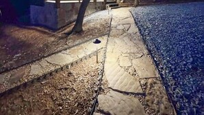 A small, single-story building with a garage, surrounded by trees and a stone pathway. - Blue Ridge Mountain Retreat (Fannin County)