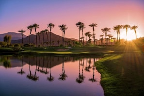 Un parcours de golf paisible, bordé de palmiers et surplombant un lac tranquille où se reflète le paysage.