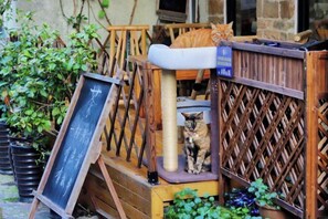 منطقة الأطفال