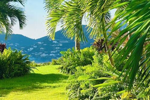 Jardin