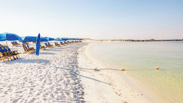 Una playa con hileras de sombrillas azules y sillones de madera.