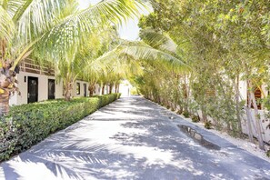 Property grounds - 1-Bed Suite: Full Kitchen, W/D, Free WiFi, Pool, & Steps to Grace Bay Beach (Grace Bay)