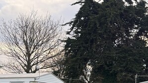 A mobile home with a deck and a fenced backyard. - Seaside Getaways - Happy Days Chapel st Leonards (Skegness)