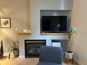 Ein modernes Wohnzimmer mit einem flachbildfernseher, der an einem Holzregal befestigt ist, einem Kamin mit Glastür und zwei Blumentöpfen.