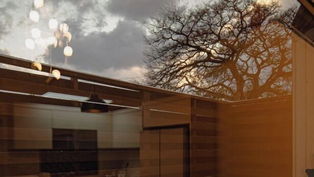 Une cuisine moderne dotée d’un grand îlot central, d’appareils électroménagers intégrés et offrant une vue sur un arbre par une fenêtre.