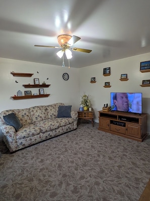 TV
