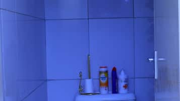 Shower, towels, toilet paper