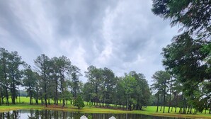 A wooden dock extending over a calm lake, surrounded by trees and grassy areas. -  Farmhouse close to wedding venues, hunting plantations in Whigham - 3 bedrooms (Whigham)