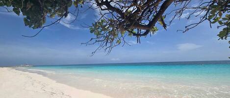 Plage à proximité, chaises longues, serviettes de plage