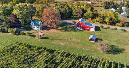 Luxury 1870’s Farmhouse with Barn and Vineyard on the Cayuga Lake Wine Trail