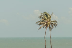 Vista a la ciudad