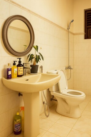 Chuveiro, secador de cabelo, toalhas de banho, sabonete