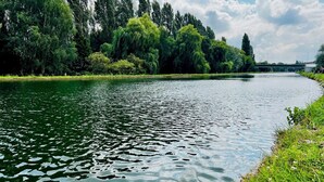 Ein Fluss mit Bäumen und einer Brücke im Hintergrund.