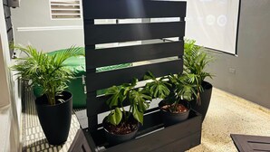 Un espacio interior moderno con un separador negro, plantas en macetas y una pantalla de proyección en la pared.