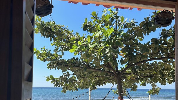 A beach view from a window with a tree, beach chairs, and a table. - Monaliza Surf Resort By Zuzu (San Juan)