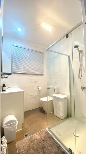 Hair dryer, towels, soap, toilet paper
