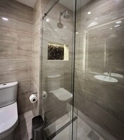 A modern bathroom with a glass-enclosed shower, a toilet, and a sink.