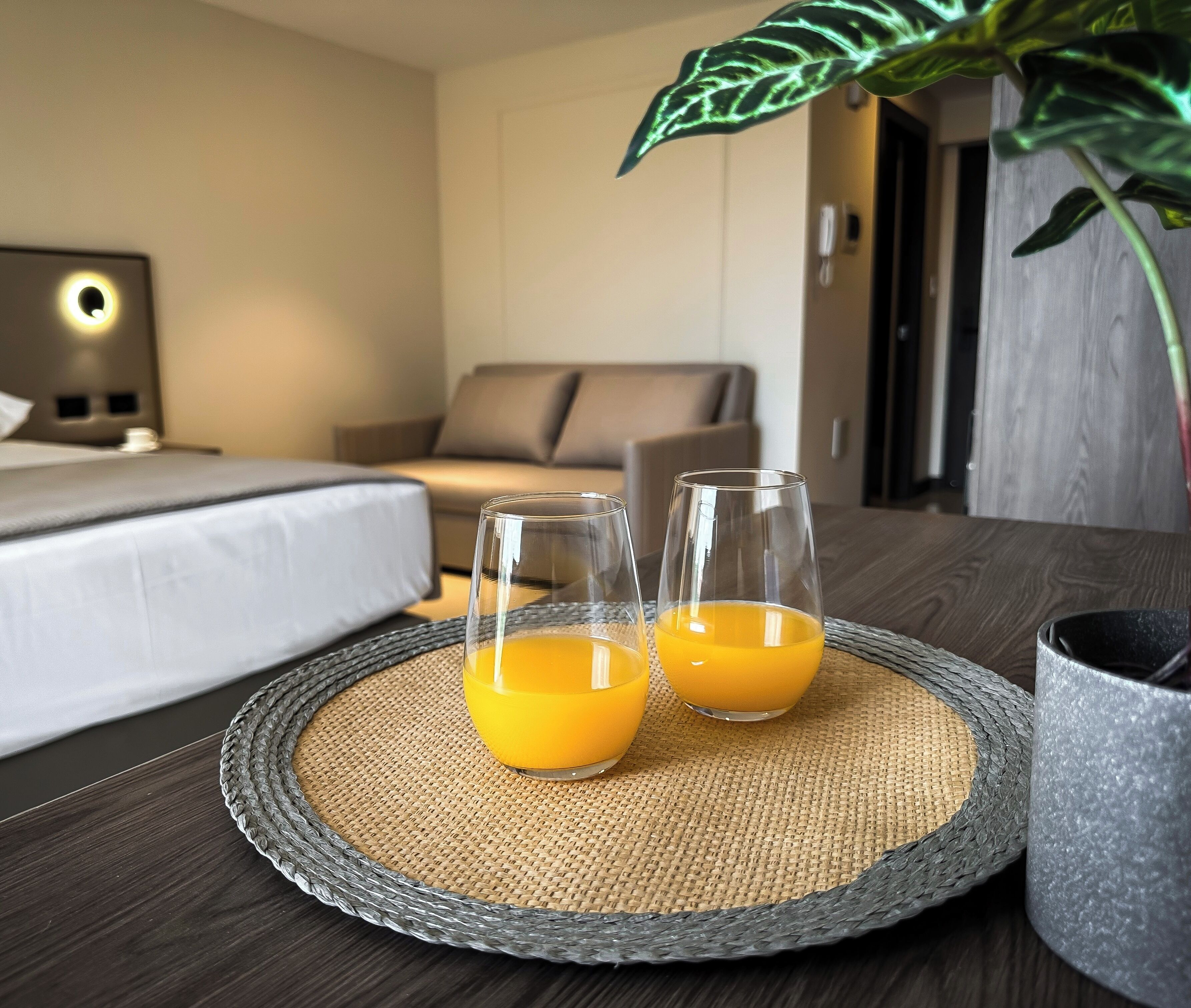 A hotel room with a bed, a sofa, two glasses of orange juice on a woven tray, and a potted plant.