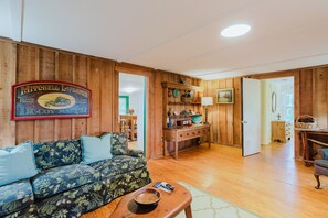 TV, fireplace, books