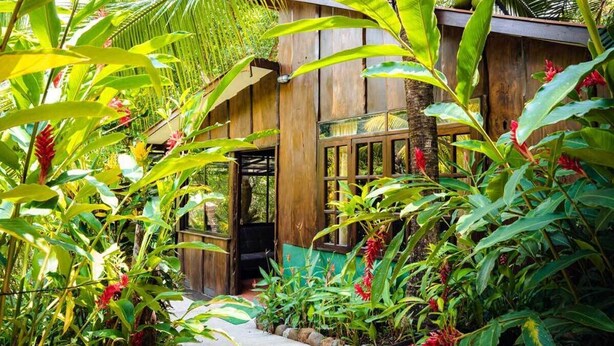 Un edificio de madera rodeado de exuberante vegetación tropical.