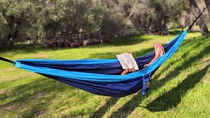 A hammock in a grassy area with trees in the background. - Yosemite+Bass Lake -Hot tub,Game room,BBQ (Oakhurst)