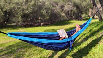 Enceinte de lâhĂ©bergement
