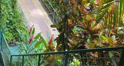 Trogon with beautiful mountain view