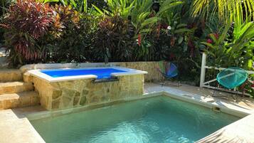 A swimming pool with stone steps and a hot tub, surrounded by lush tropical plants.