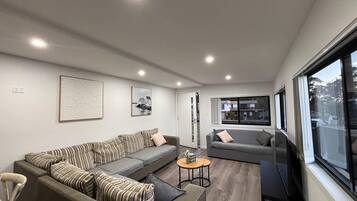 Smart TV, fireplace, books